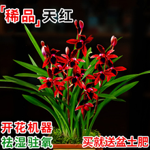 �����m�������� ���m��t �Ď��������ۼt�غ��B�����ļ��҃Ⱥ��B