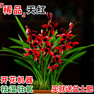 �����m�������� ���m��t �Ď��������ۼt�غ��B�����ļ��҃Ⱥ��B