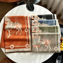 秋冬季马匹款时尚大气仿羊绒围巾女空调房防风保暖披肩双面围脖