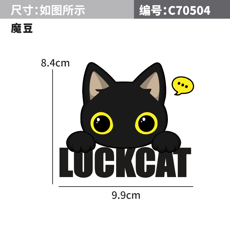매직 빈 C70504