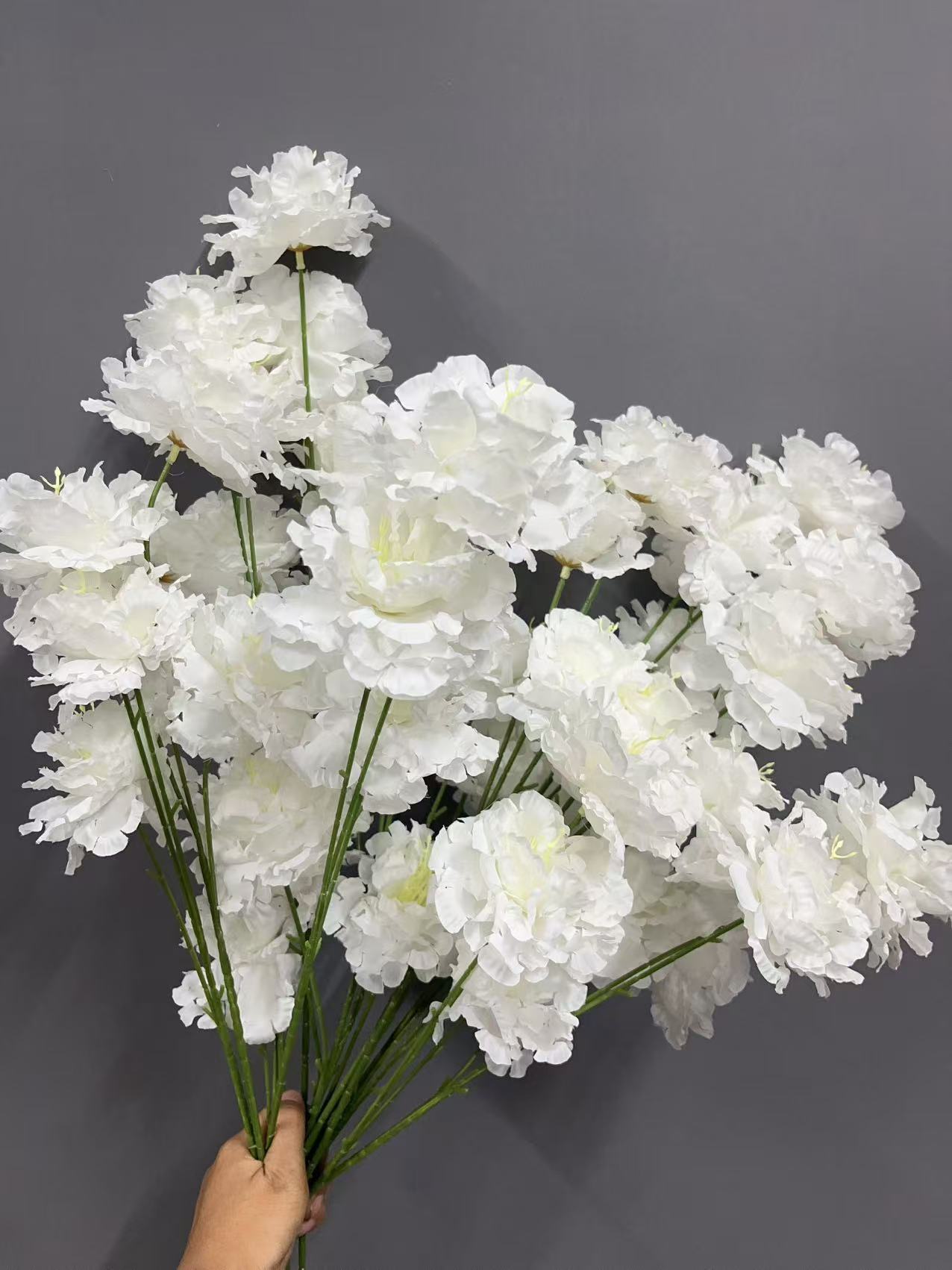 微信图片_20241221154233