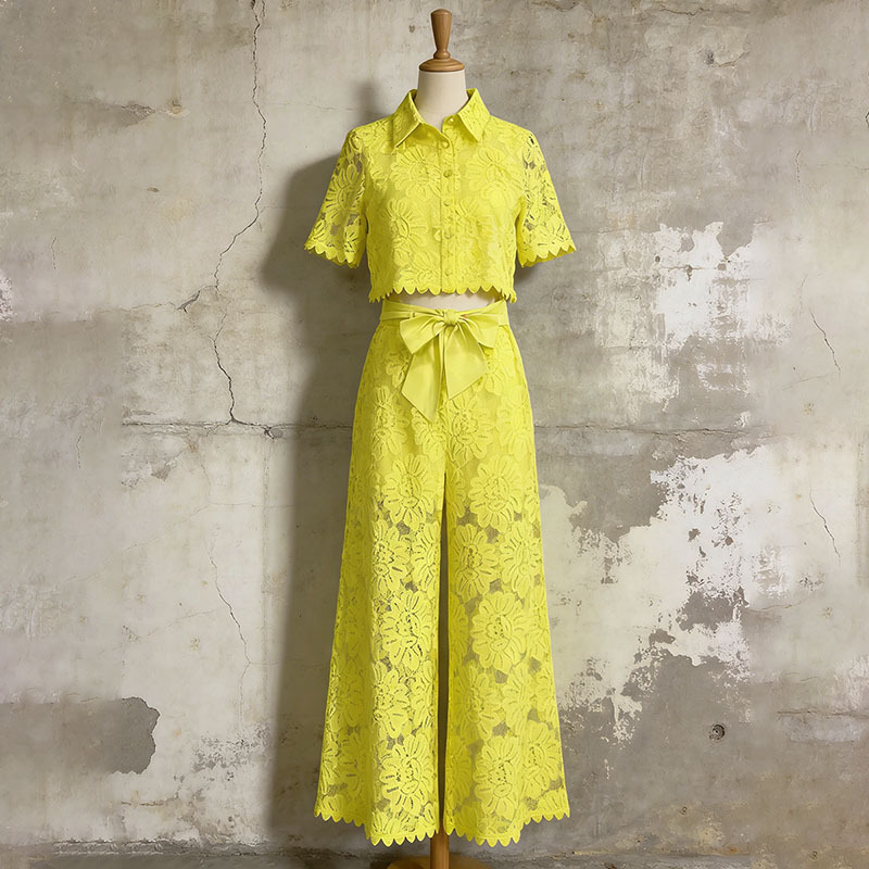 Elegant Retro Two Piece Set With Lapel Short Top And Bow Trousers_voghion.com