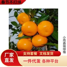 ���S�۽����ϱ���ͥԺ���Ը����玧�����Լ޽ӽ��Ә���箔��Y��