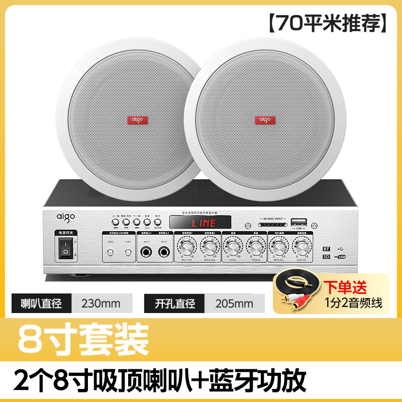 Sistema de Altavoces de Techo con Conexión Bluetooth para Música de Fondo