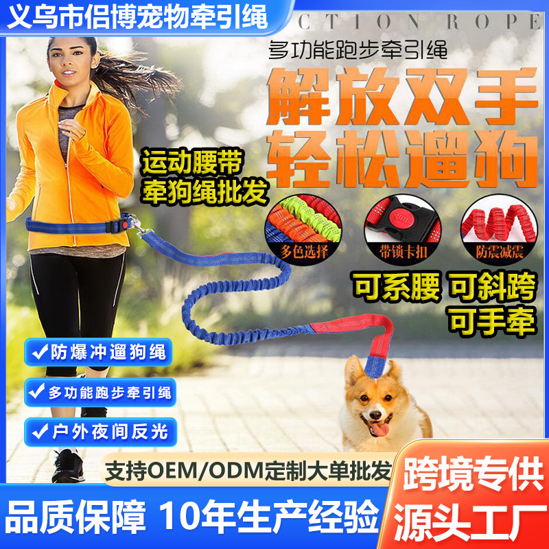 강아지 목줄 도매, 해외배송, 폭발 방지, 야외용, 탄성, 신축성, 허리띠, 야간 애완견 산책줄