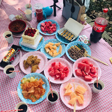 一次性纸盘野餐餐具儿童生日派对甜品台布置水果熟食碟子圆盘方盘