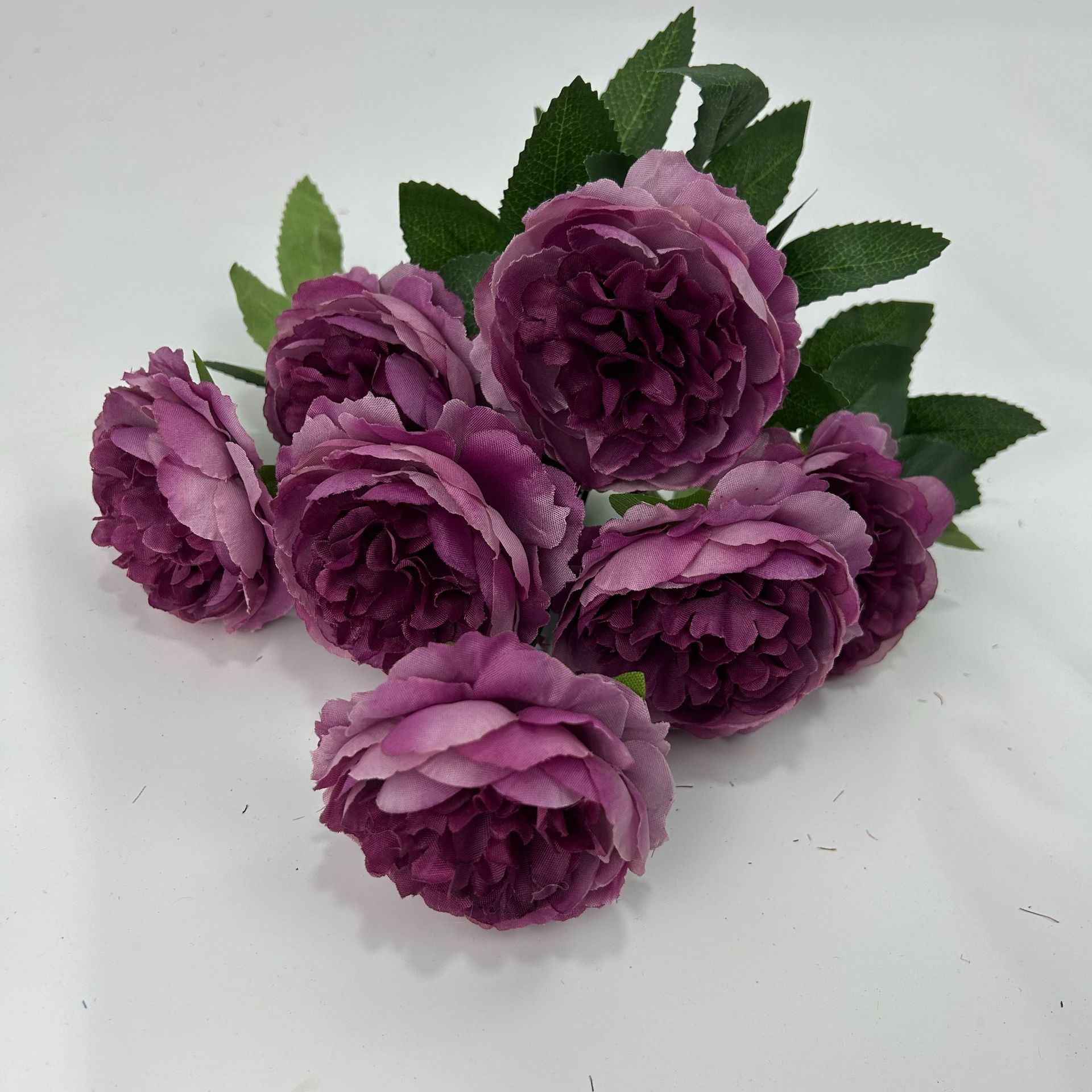 가을 보라색