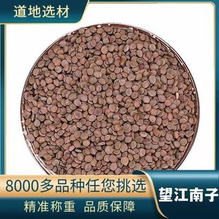 ������ ��ș�� �������� ��Ƕ� ɽ�G�� �� ֧��ș�z ��ĥ��