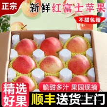 高原红富士苹果冰糖心新鲜水果当季礼盒整箱10斤装顺丰包邮丑苹果