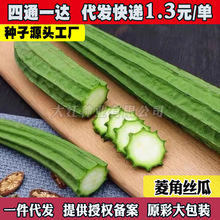 ��Ǵ���z�ϷN�Ӱ˽�ˮ���̨�ˈ@����ͥԺ�߲˷N���ļ��＾