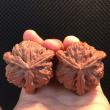 �ǹ�ñ��P�������Ȼ�����ְѼ����Ү��ͺ����������Y���������