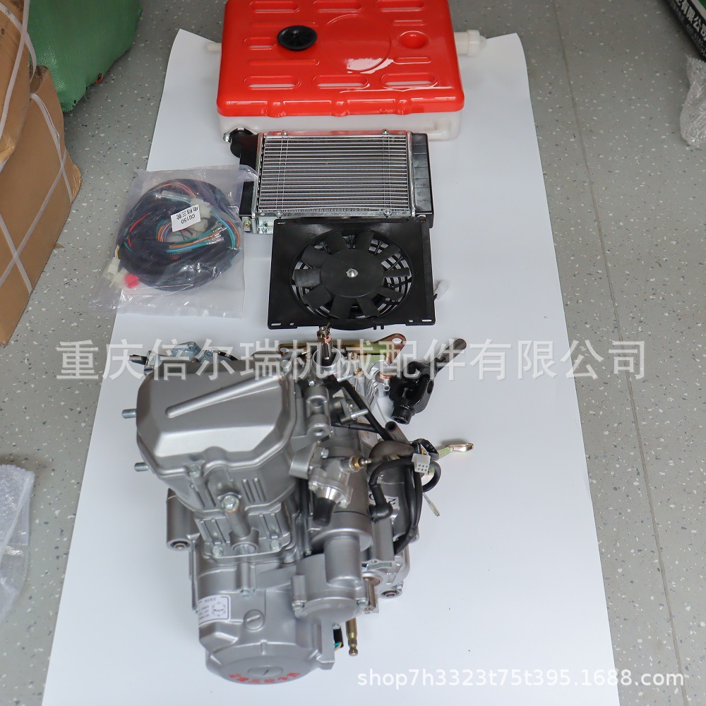 Beierrui motor de motocicleta de tres ruedas 200cc nuevo motor refrigerado por agua plateado negro motor opcional