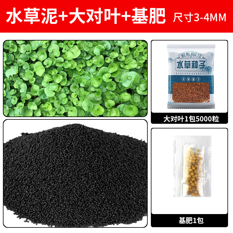 [핫 세일] 무료 대형 잎 5000개 + 기본 비료