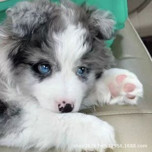 ���N߅����Ȯ���w߅������Ȯ�ڰ��Eʯ����Ȯ���͹���Ȯ