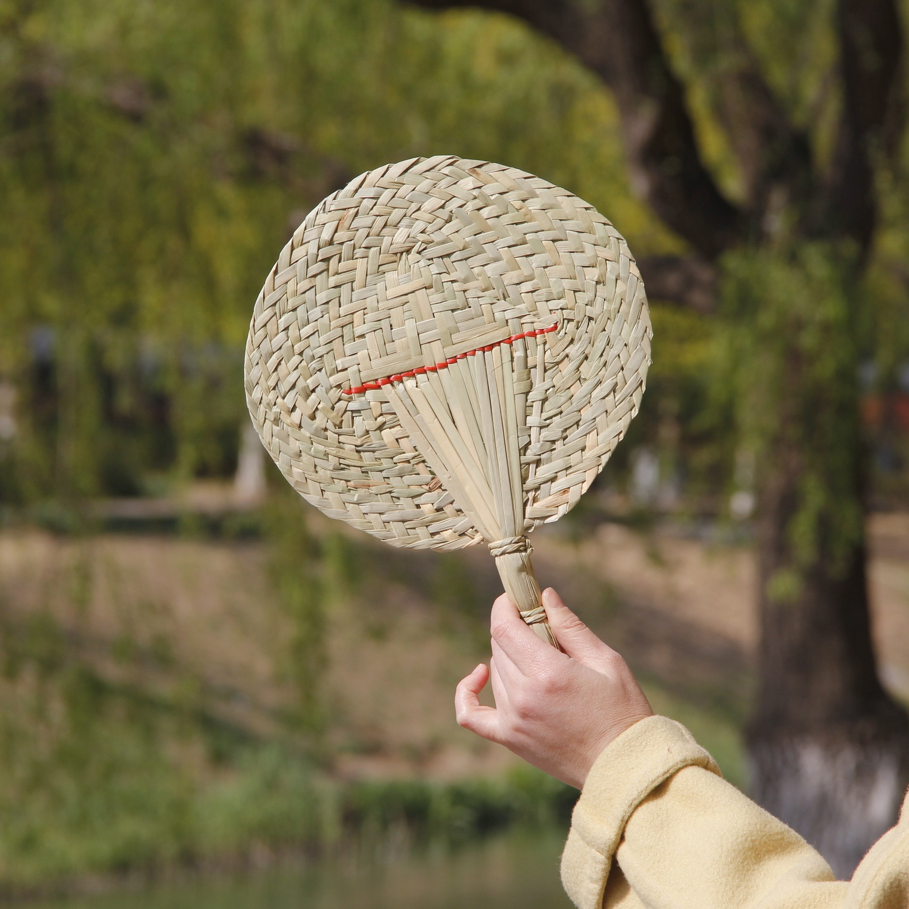 亲子扇传统手工老蒲扇大扇子草扇凉快轻便耐用芭蕉扇子家用纳演出