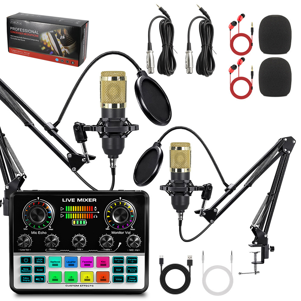 Cross-border BM800 capacitive wheat dual microphone English sound card equipment live broadcast full set of mobile phone computer recording net red