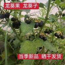 ����Ʒ��������������������������Ұ������������؛