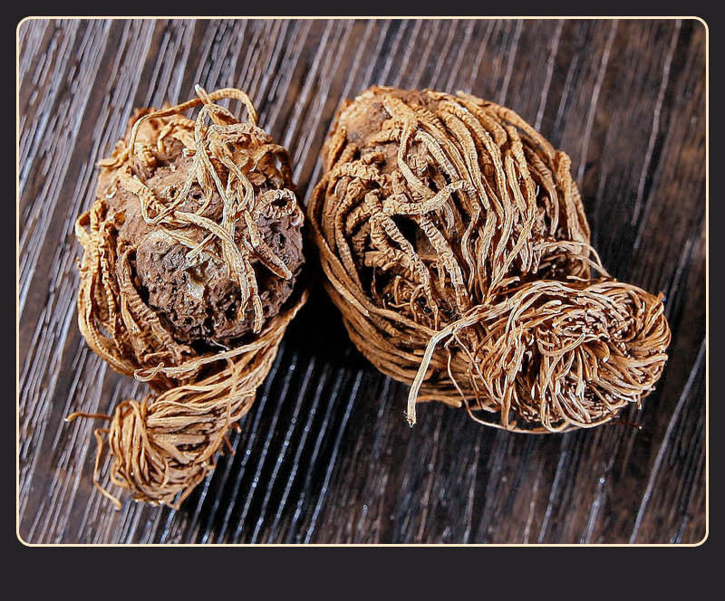 Tou Ding Yi Ke Zhu (Trillium tschonoskii) — Dried Wild Rhizome Herb, 500g details