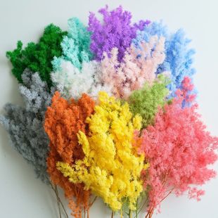 �������R������ѩ�ɸ߼��л�����Ķ�ɫ�Ҿӻ�Y�b���Ϲ��S���l