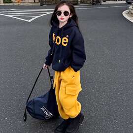 秋冬新款小女孩两件套女童卫衣套装儿童秋装运动卫衣卫裤潮童衣服