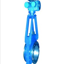 供应WFZ电动耐磨矿浆阀