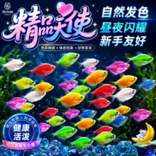 ��ʹ�~�^�p�~���B�~�Ꭷ�~�������ǹ�ɫС�~���ԁ�ˮ���B���＃�N
