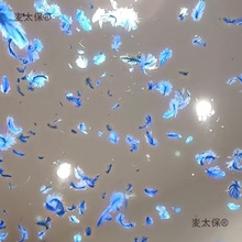 ��ë�Y��Ͱ���Ցcף�ֳ�С�Y�چ��w�c���c�Y�鹝�c�֔Q����̫��