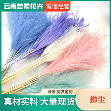 ̫�O���Rβ���m �ֹ�������ˇƷ �Ҿӷ����b��m�ߔ[�� ���l