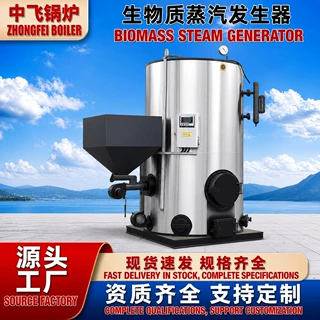 工厂定制自动燃煤/颗粒蒸汽发生器高效节能出蒸汽快食品木材加工