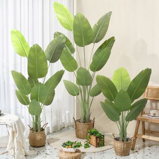 ins˽B҃ȼپGֲ˽ؔ[b߷