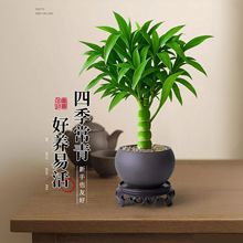 �Gֲ�_�h�����Ϙ���������Կ͏d�����辰���B��ˮ��ֲ���k���҃�