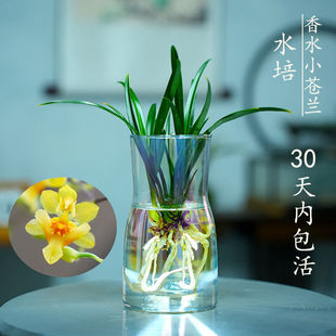�¿�����ˮζС�n�m�����s���m�ļ��m�����҃ȿ͏dˮ����B�Gֲ��