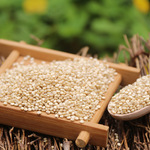 ���������޼���ʿ���������ѿ���ຣԭ����ֱ�����״����������