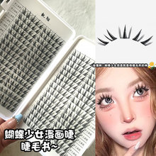 ���������տ���ϵ��ë������Ȼ�ֶΝ����۽�ë�δؐ�ħ����������