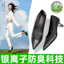 ����͸����������ЬŮ��ɫ��ͷ�߸�ЬŮְҵϸ��ͨ�ڲ��۽�����Ь