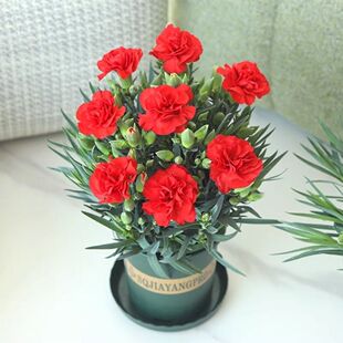 ����ܰ���Ԏ�����ʯ���ļ��_�҃��̨�r���͏dͥԺ���B�Gֲ����