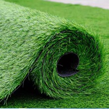 ߠXƺWУʘƺhܶȑbgolf