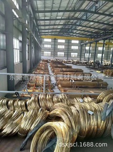 ��ʢ�ι���HFe58-1-1�F�S�~ �~�� ��S�~��Ҏ��Ʒ�N�Rȫ�r�񃞻�