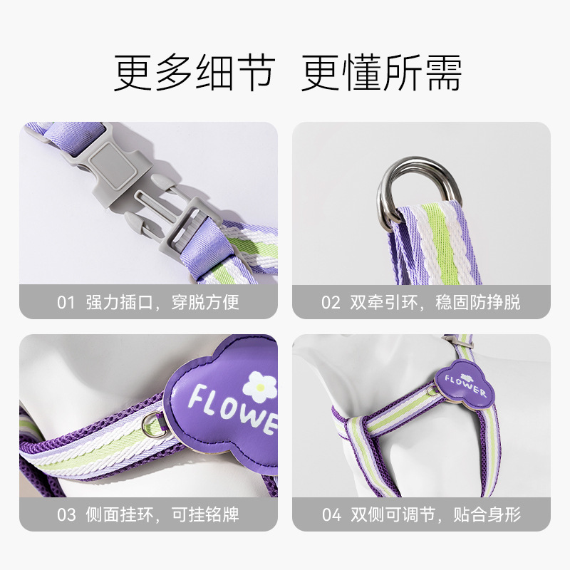 Nuevo arco iris divertido para perros, cinturón de pecho de cuerda de tracción en forma de Y, cuerda para perros pequeños y medianos para caminar, cuerda para perros de mascota