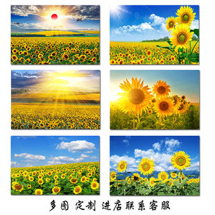 ���տ��b���ꖻ�̫ꖻ��͏d���Ҳ͏d�������s�������P��ճ�N��
