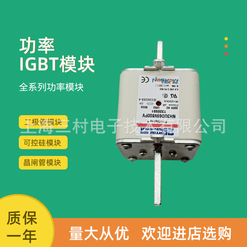 全新熔断器保险丝NH2UD69V350PV	Y320480 NH2UD69V400PV	B320483