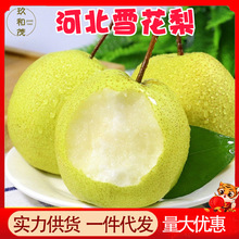 ���ںӱ�ѩ��9���������Ӯ����������rˮ��10���l���]5ѩ��������