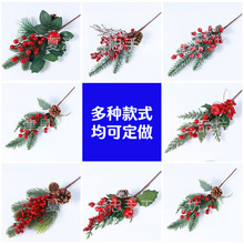 �}�Q�羳؛Դ�����}�Q��֦�ɹ���ᘲ�֦�t���ӝ{�����}�Q�b�֦