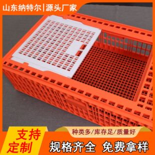 �S�����l���u���D�� Ԫ�����u�\ pp�ϼӺ����D���u�\  �Թ�����