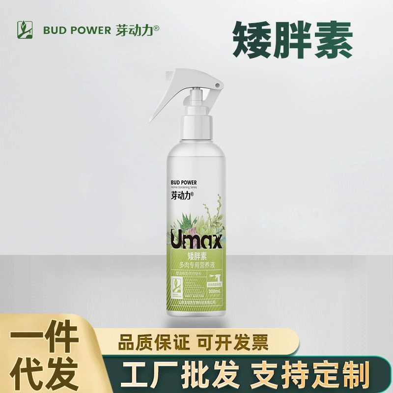 Bud Power Мясистый Специальный Питательный Раствор Шалтай Обычный Мясистый Специальный Шалтай Обычный Мясистый Анти-разрастание Семейный цветочный жир