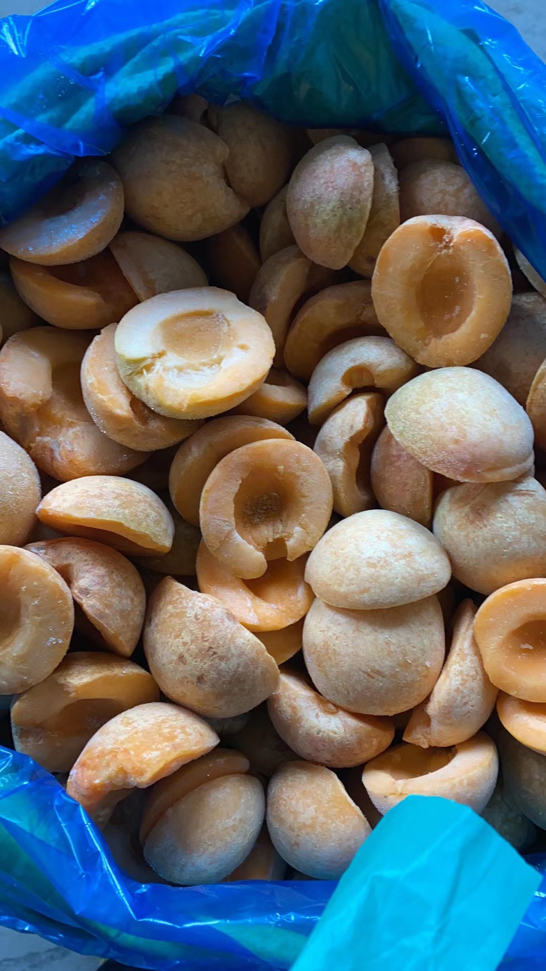 02173cbb6e77689a214f58abeb9899