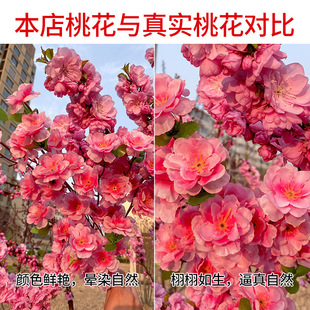 ���̈@�ַ����һ�֦������һ���÷���ѻ���֧�����҃Ȕ[���b�