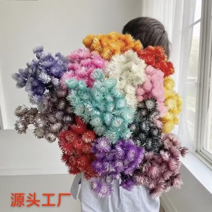 ��������ʯ��ѩɏ���滨�Ӽ��b��ߺ�ѩɏ�廨����Դ�^�S��ֱ��