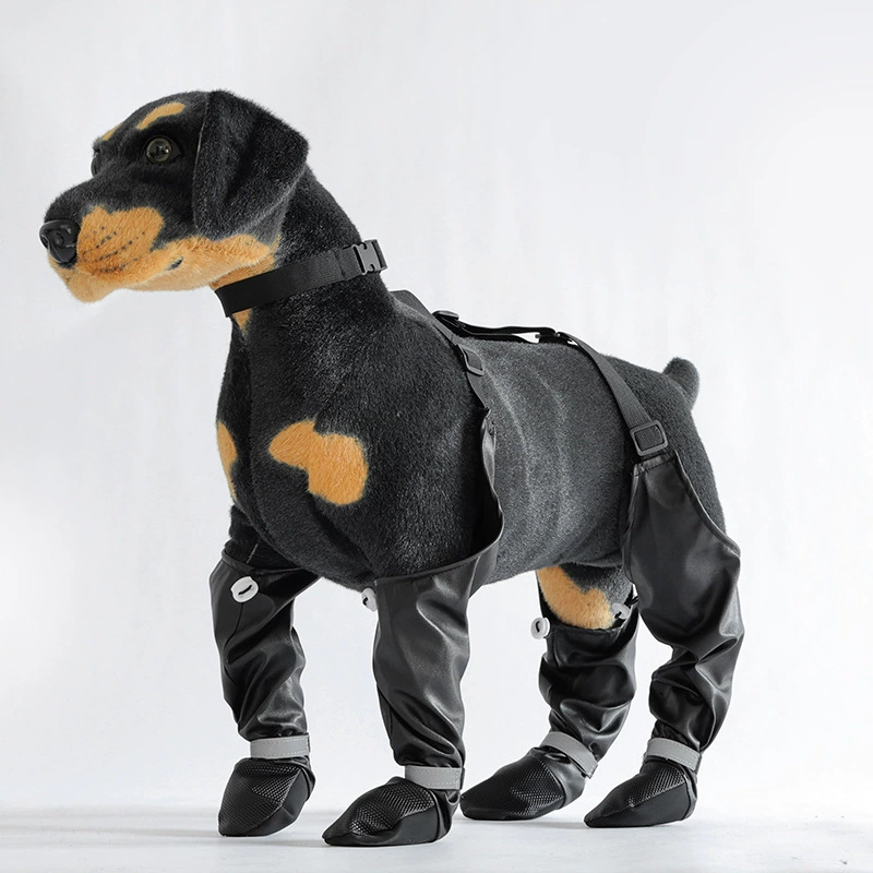 Трансграничные собаки выходят на защиту от грязной обуви