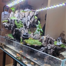 ��Ʒˮꑸ����g�ɾ����B�~��ȫ��ɽˮһ���ןᎧ�������B���¿�